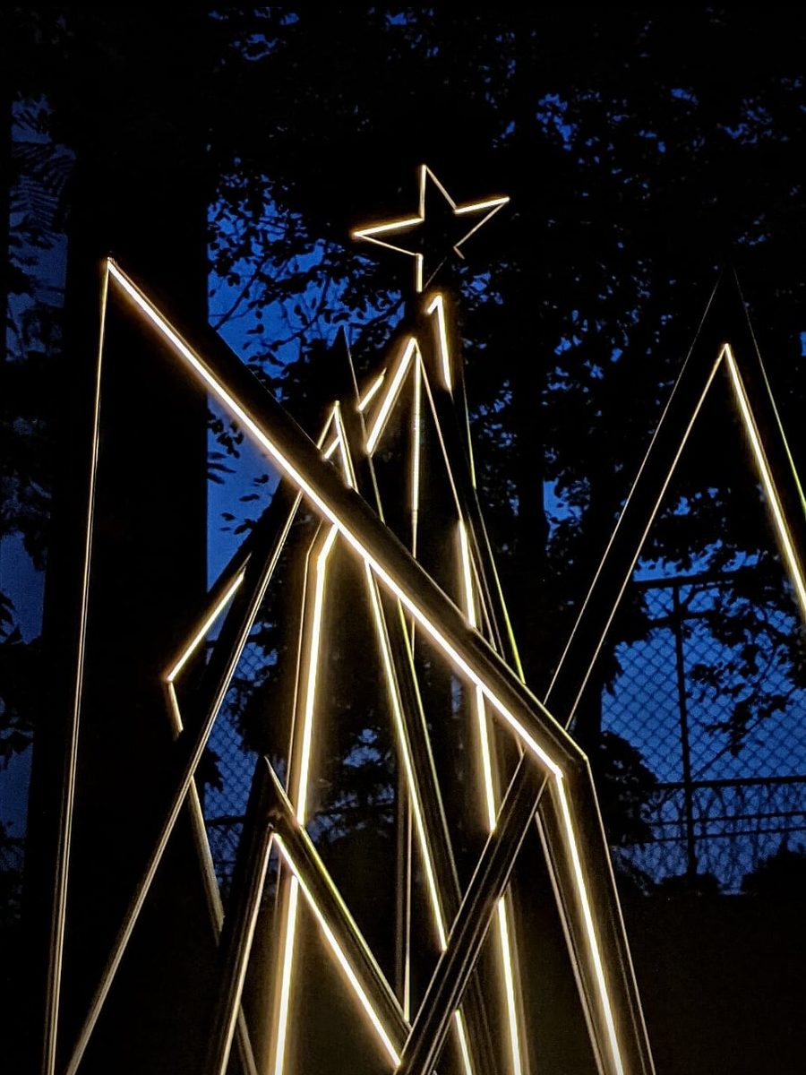 A Single Line: one continuous line of light drawing a tree with a star on top